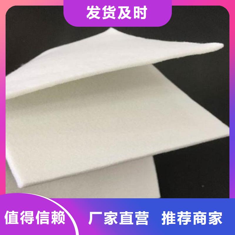 土工布双向塑料土工格栅源头厂商