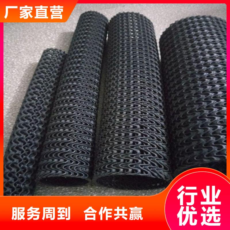 硬式透水管HDPE土工膜专业厂家