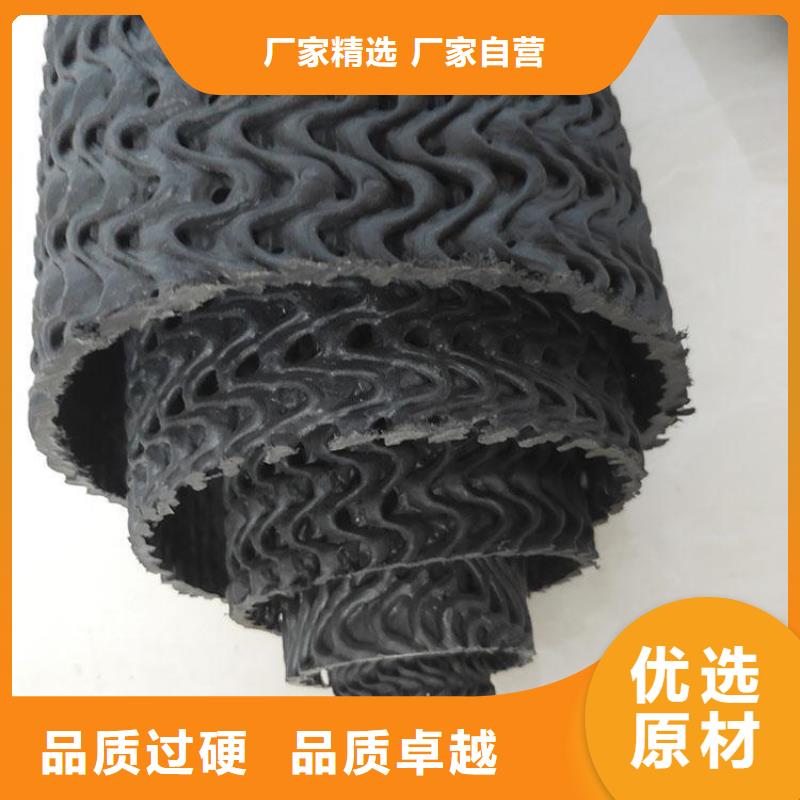 硬式透水管三维植被网价格实在