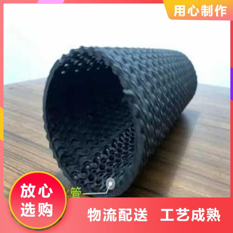 硬式透水管HDPE土工膜专业厂家