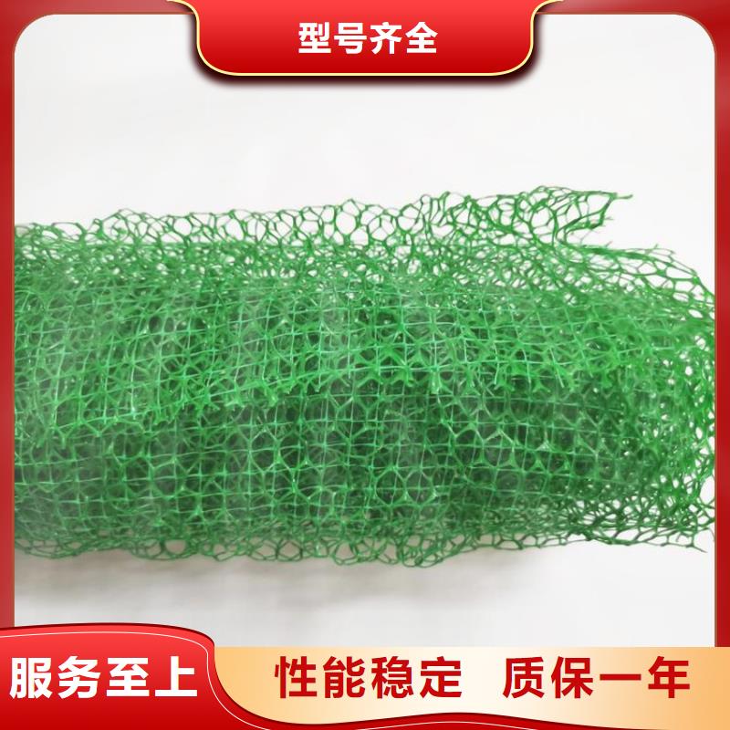 三维植被网生态带供应商
