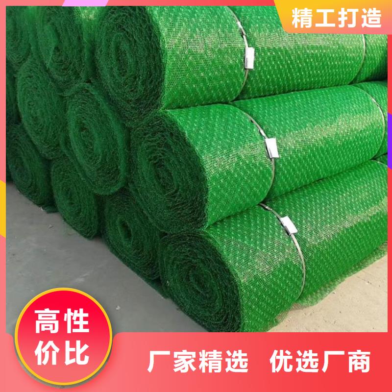 三维植被网排水板选择大厂家省事省心