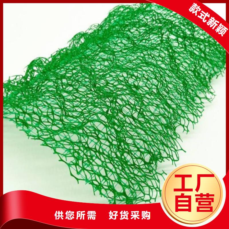 三维植被网矿用格栅支持定制加工