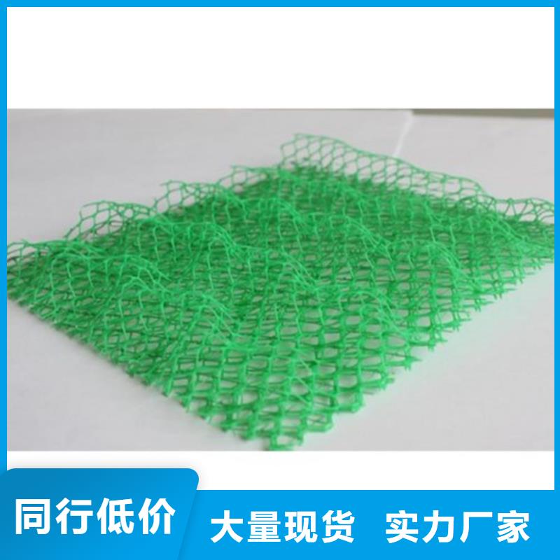 三维植被网编织布厂家实力大