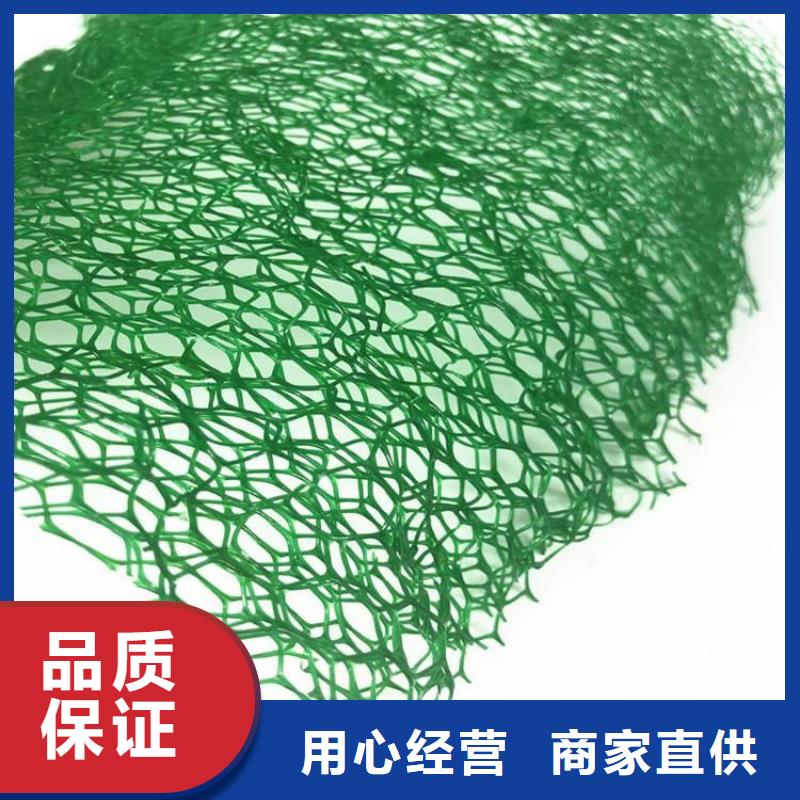 【 三维植被网 土工格栅安心购】覆盖范围含|通辽|兴安|阿拉善|乌兰察布|锡林郭勒|鄂尔多斯|乌海