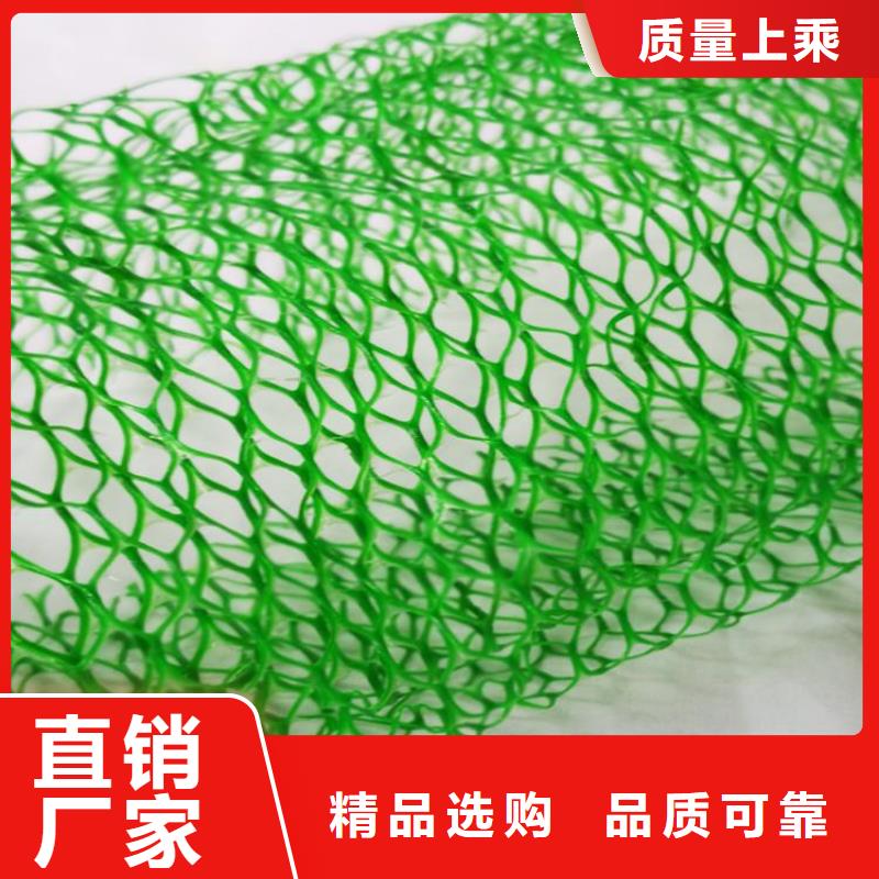 三维植被网-HDPE土工膜现货充足