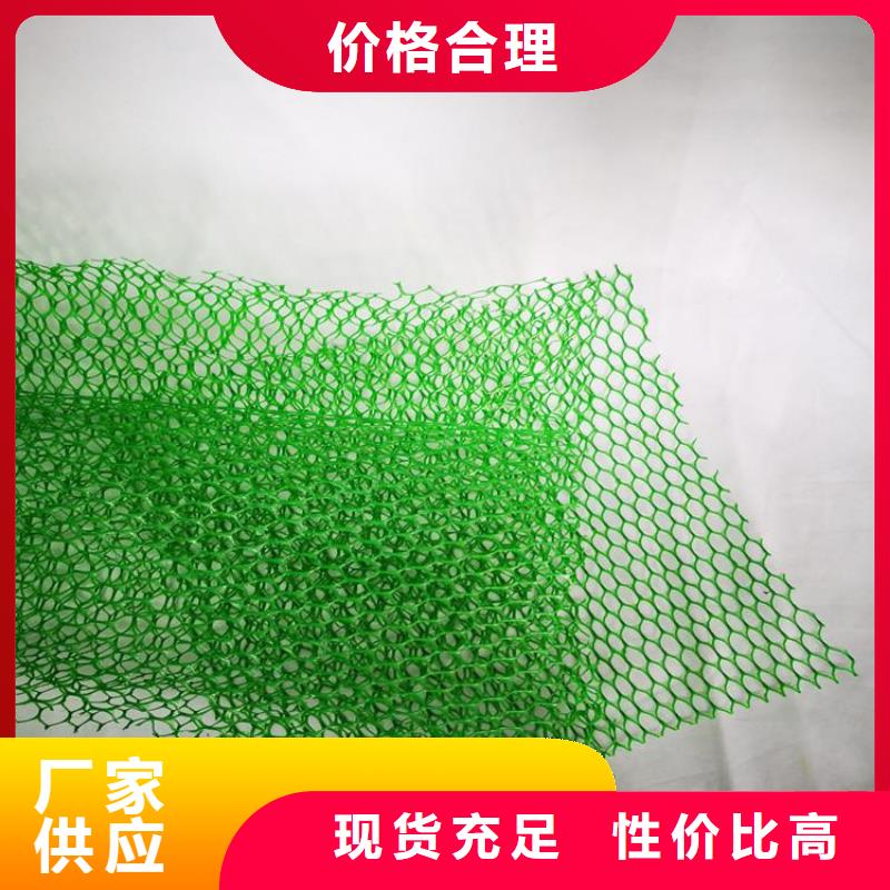 三维植被网排水板选择大厂家省事省心