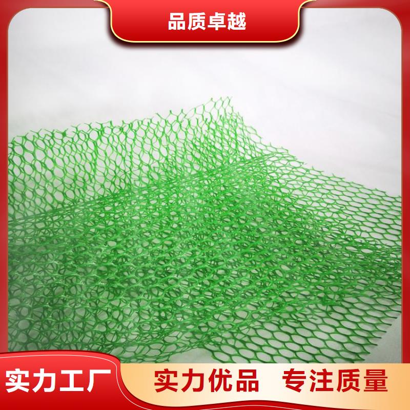 三维植被网,抗裂贴出货及时