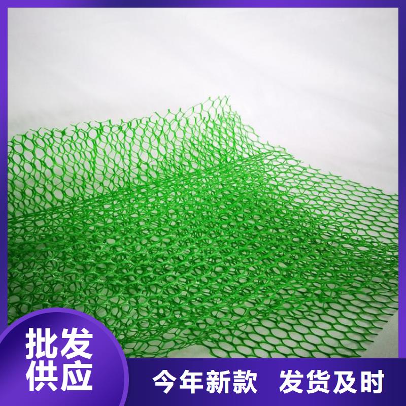 三维植被网-HDPE土工膜现货充足