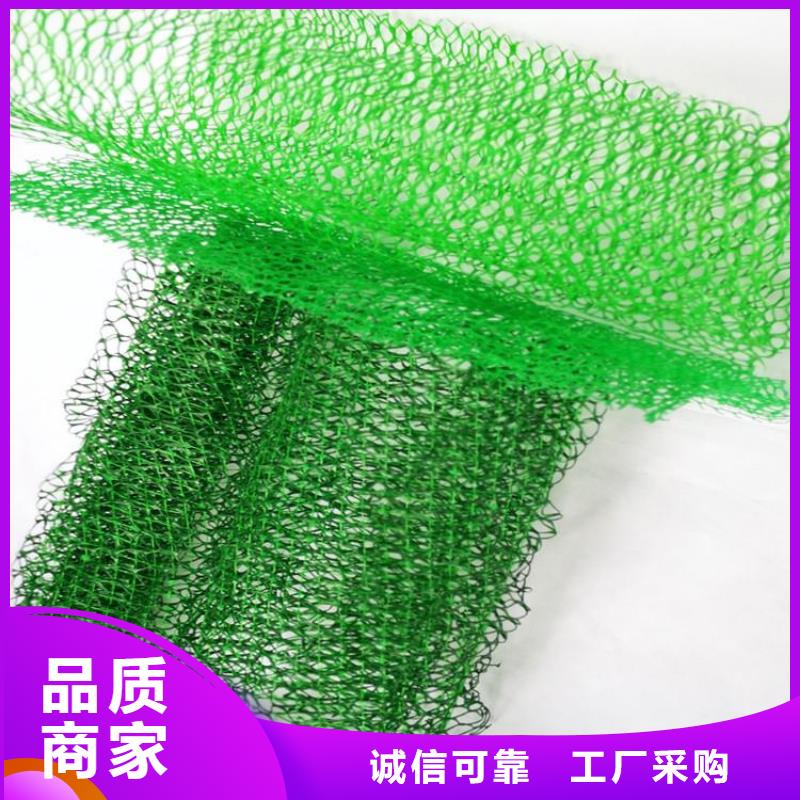 三维土工网垫市场批发/多少钱一平