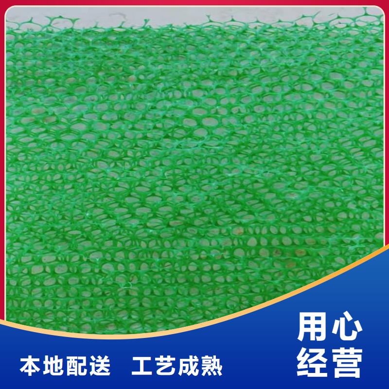 三维植被网,抗裂贴出货及时