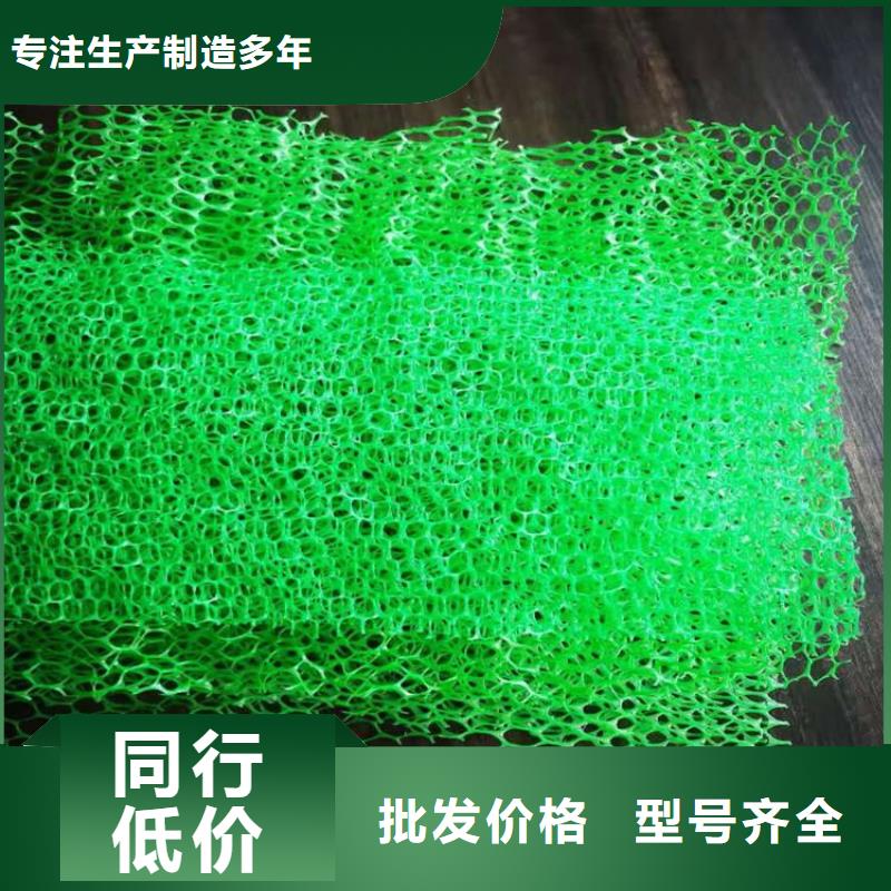 三维植被网排水板选择大厂家省事省心