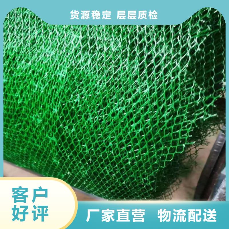 三维植被网聚酯布客户信赖的厂家