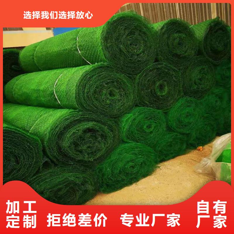 三维植被网,抗裂贴出货及时