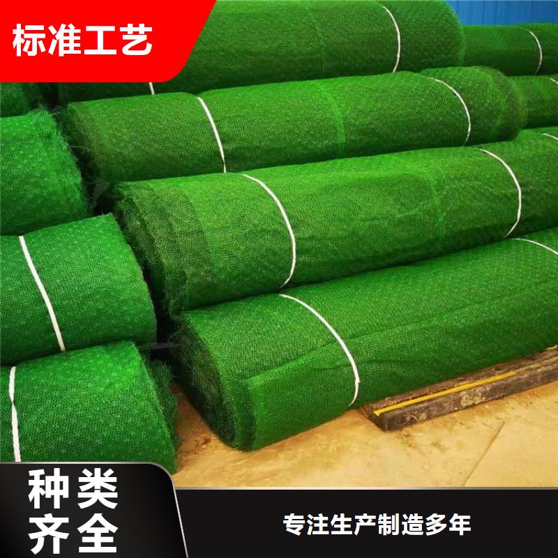 三维植被网编织布厂家实力大