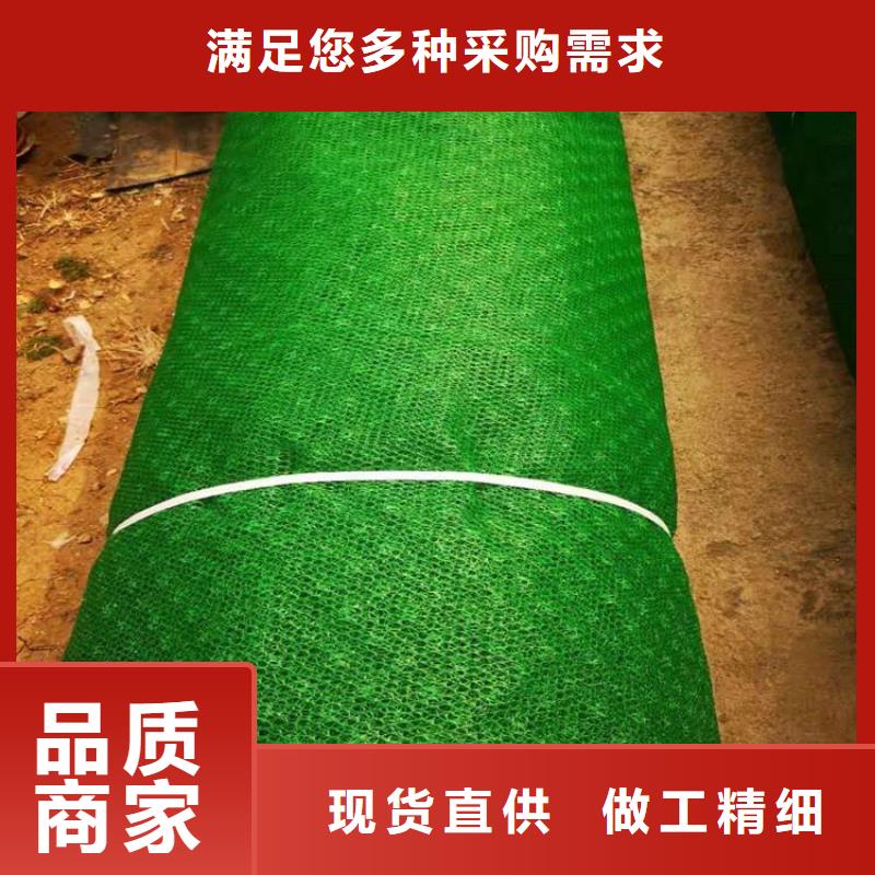三维植被网生态带供应商