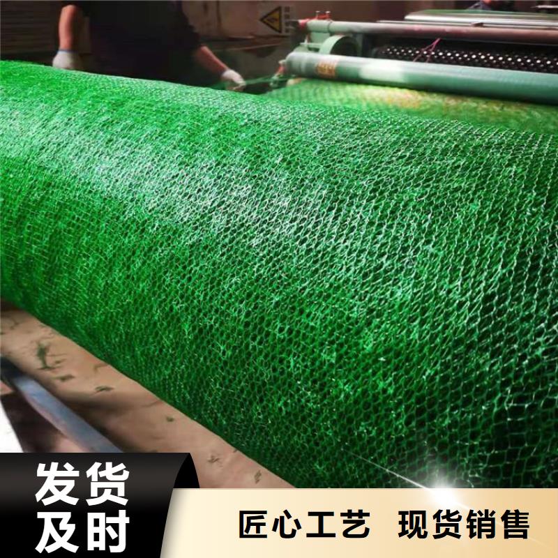 三维植被网-HDPE土工膜现货充足