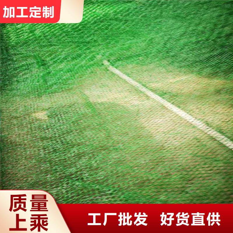 护坡加筋网垫-三维土工网施工方法