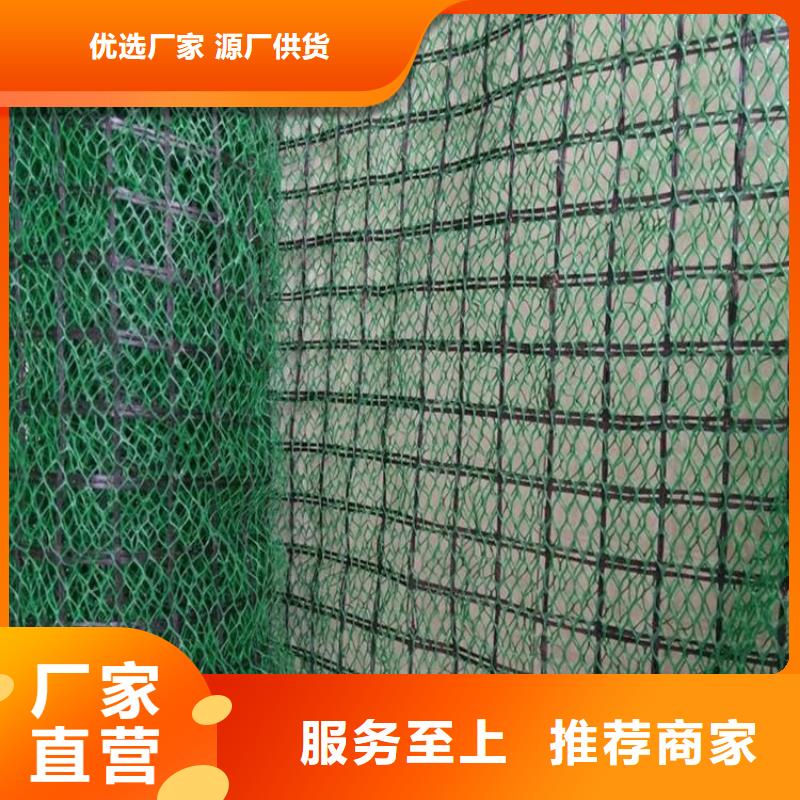 三维植被网聚酯布物美价优