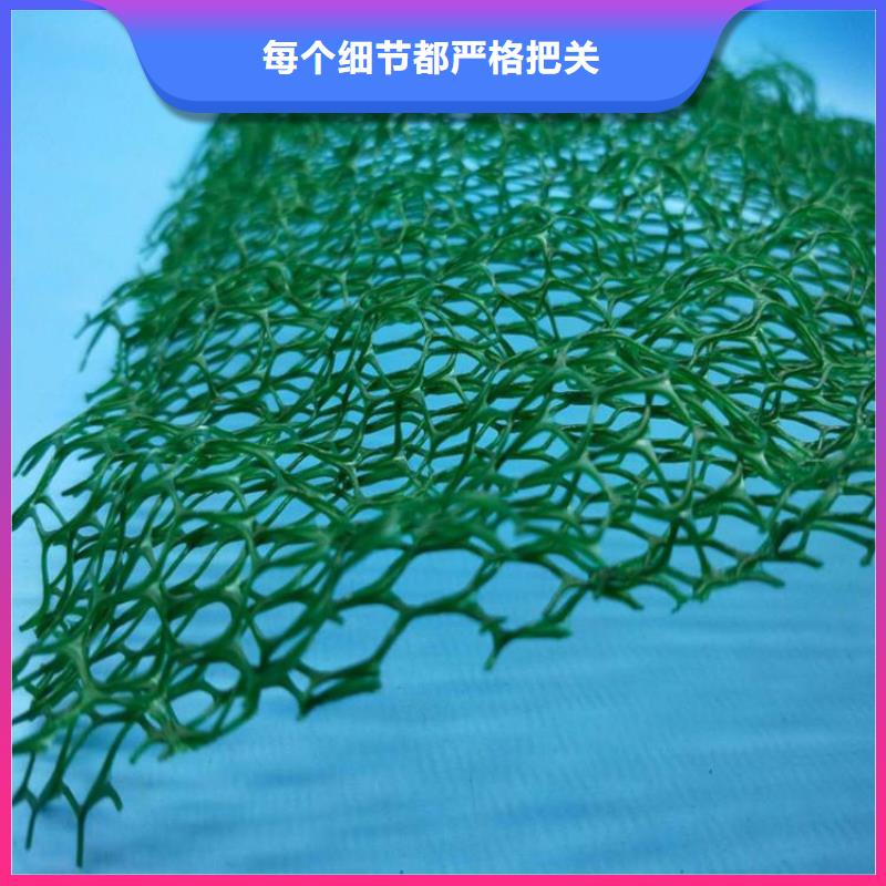 三维植被网聚酯布物美价优