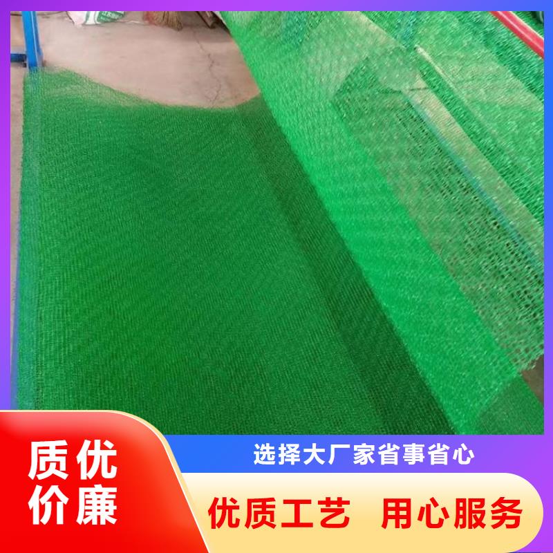 三维植被网聚酯布客户信赖的厂家