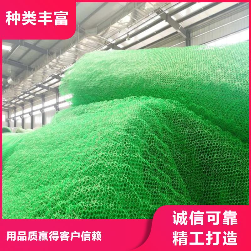 三维植被网,抗裂贴出货及时