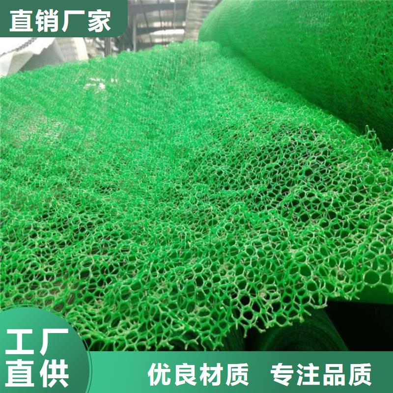 三维植被网编织布厂家实力大