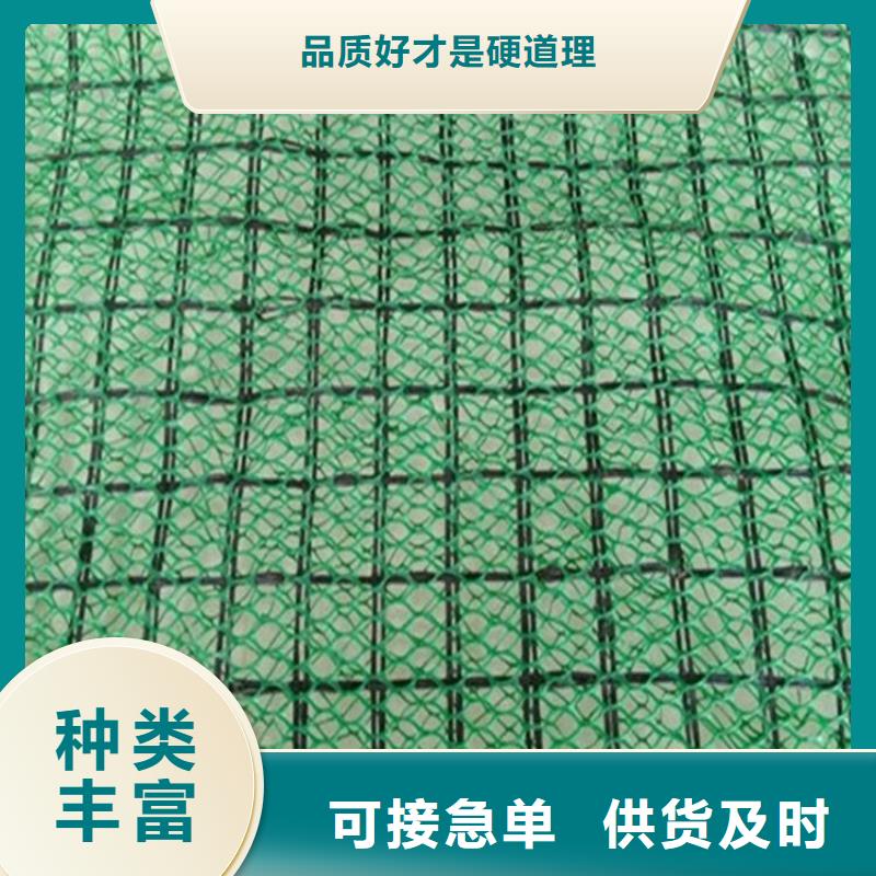 三维植被网聚酯布物美价优