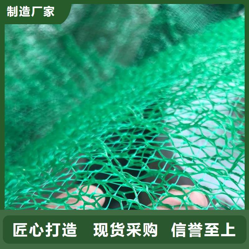 三维植被网-HDPE土工膜现货充足