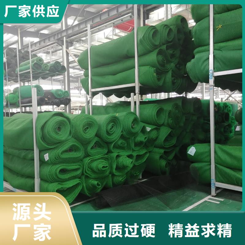 三维植被网-膨润土防水毯源头厂家供应