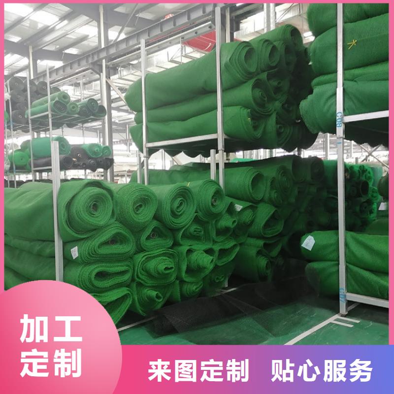 三维土工网垫市场批发/多少钱一平