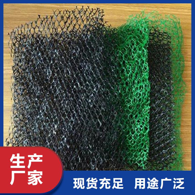 三维土工网垫市场批发/多少钱一平