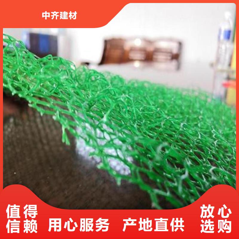 三维植被网,抗裂贴出货及时