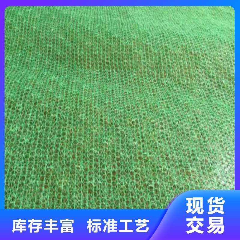 三维植被网聚酯布物美价优