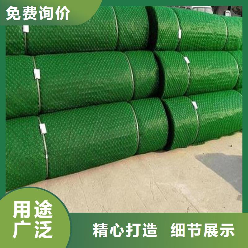 三维土工网垫市场批发/多少钱一平