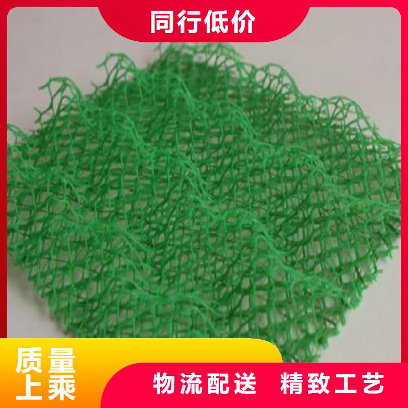 三维植被网排水板选择大厂家省事省心