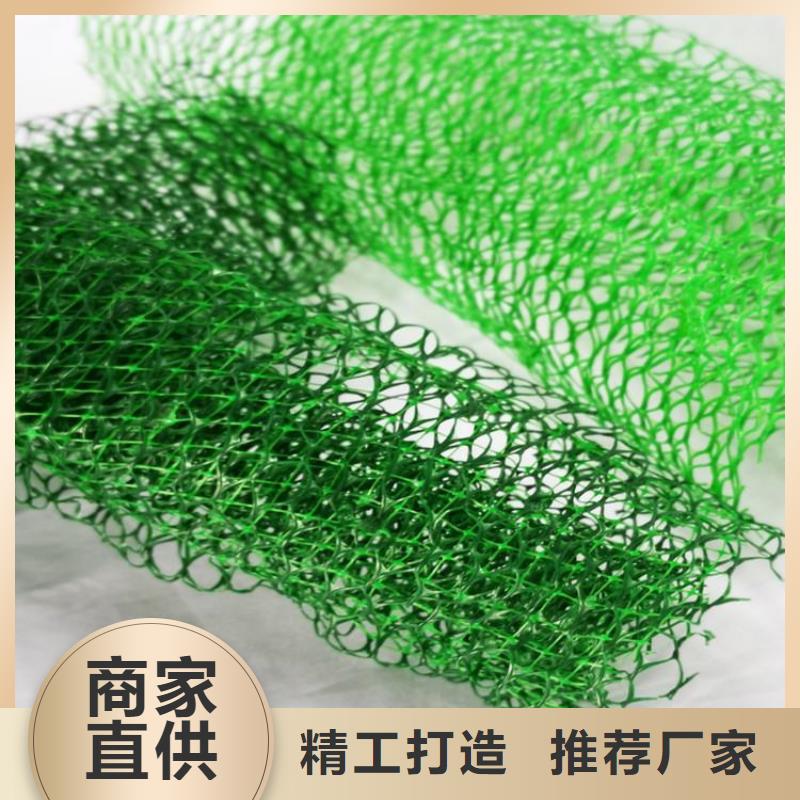 【 三维植被网 土工格栅安心购】覆盖范围含|通辽|兴安|阿拉善|乌兰察布|锡林郭勒|鄂尔多斯|乌海