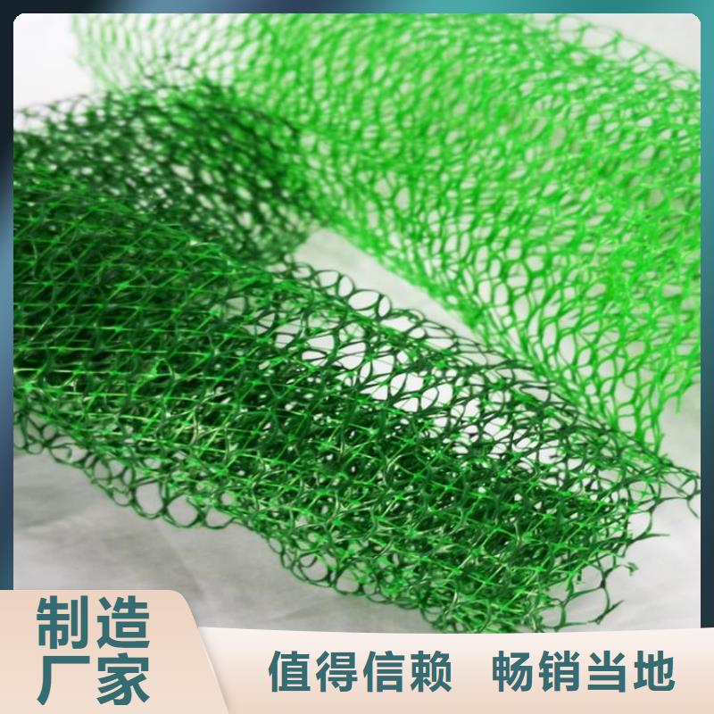 三维植被网-膨润土防水毯源头厂家供应