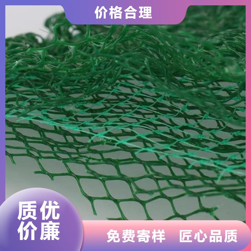 护坡加筋网垫-三维土工网施工方法