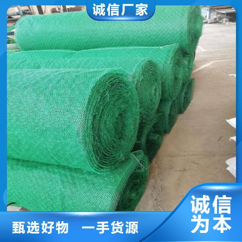 三维固土网垫-三维网垫本地批发