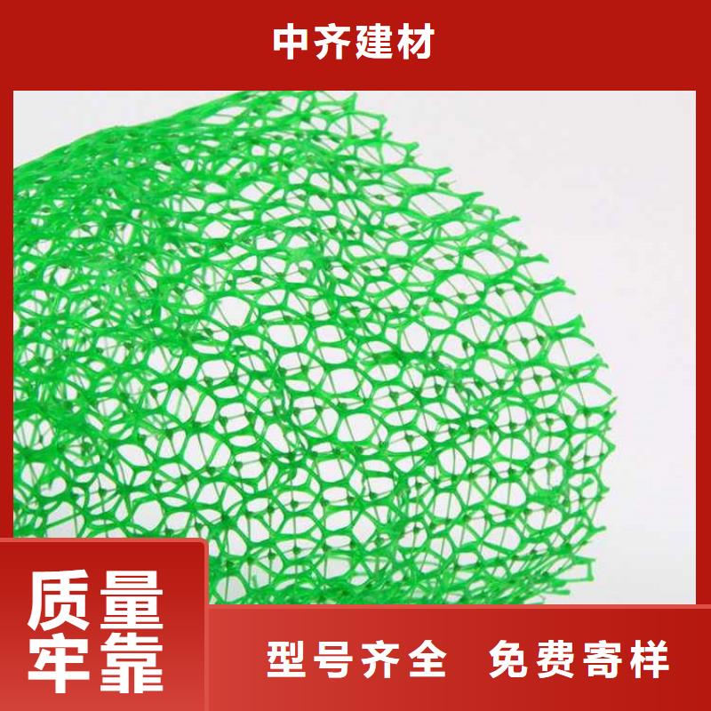 三维植被网编织布厂家实力大