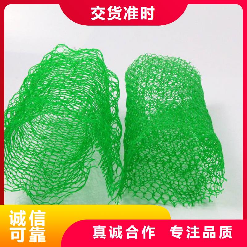 三维植被网-HDPE土工膜现货充足