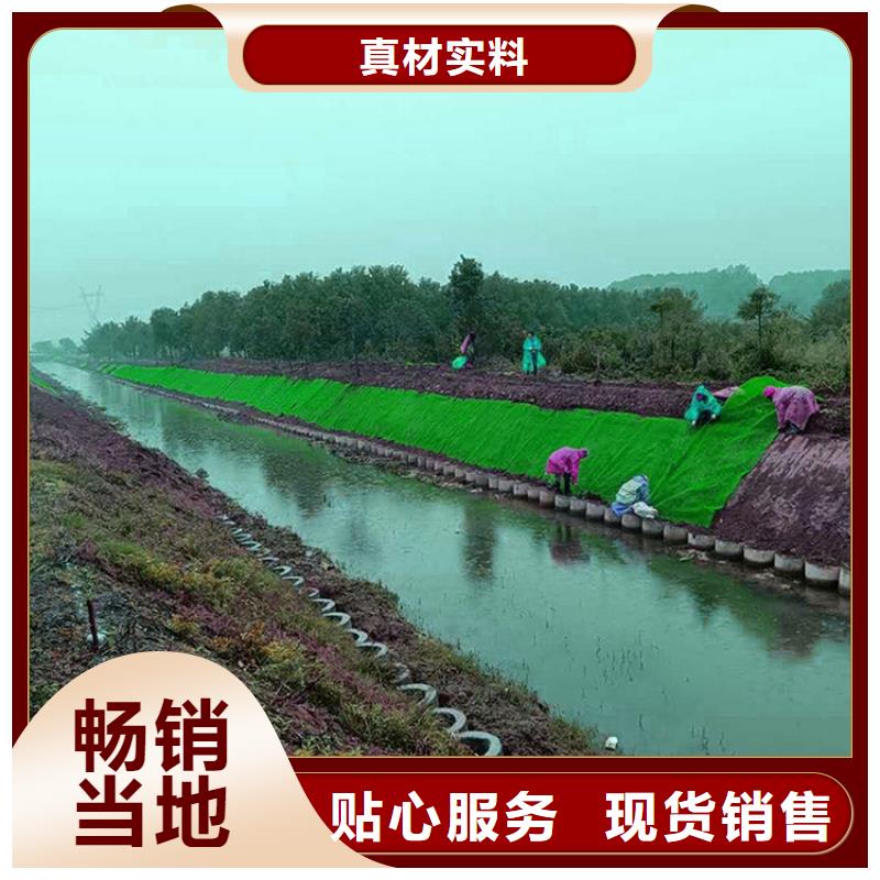 三维植被网-膨润土防水毯源头厂家供应