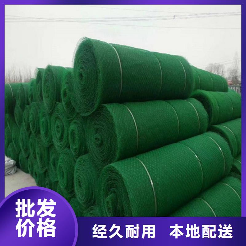 三维植被网编织布厂家实力大