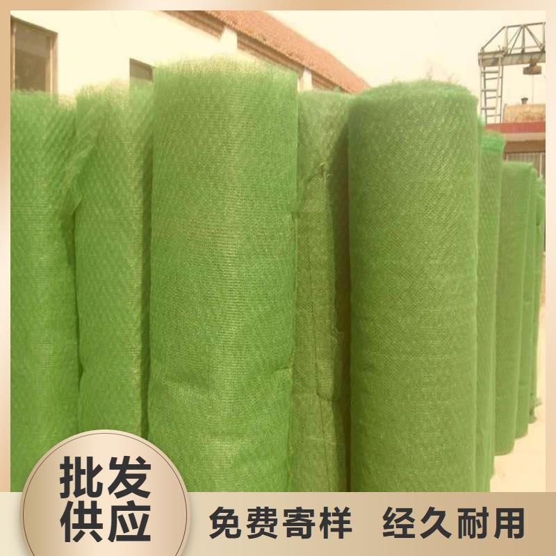 三维植被网-膨润土防水毯源头厂家供应