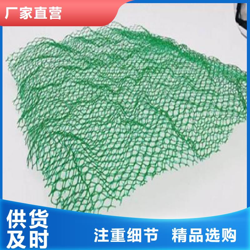 三维植被网生态带供应商