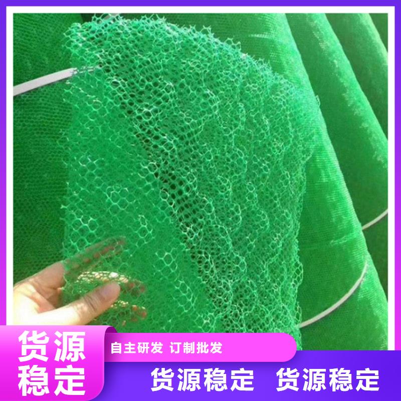 三维固土网垫-三维网垫本地批发