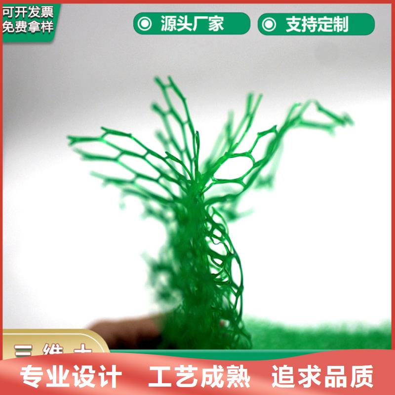 护坡加筋网垫-三维土工网施工方法