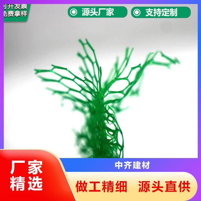 三维植被网聚酯布客户信赖的厂家