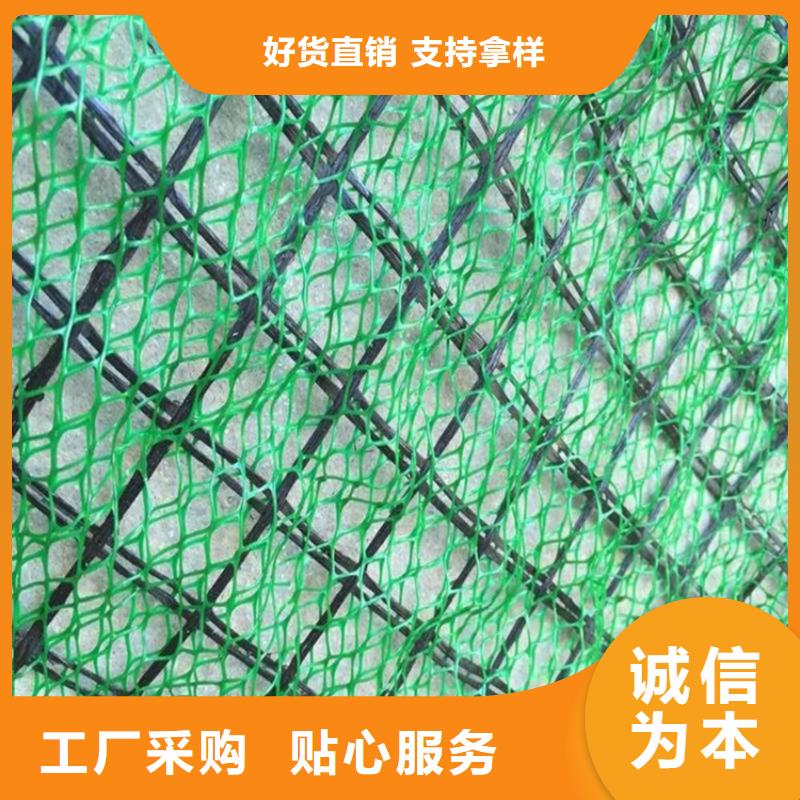 三维植被网排水板选择大厂家省事省心